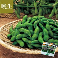 尾浦 だだちゃ豆　イメージ