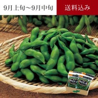尾浦 だだちゃ豆　イメージ