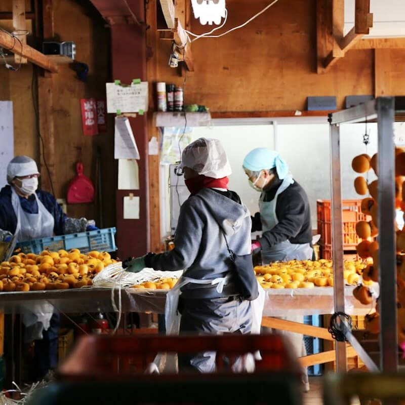 紅ほし柿 L 32玉 (化粧箱入) 山形紅柿の干し柿｜清川屋