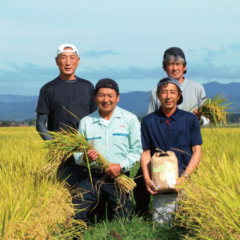 伝説の庄内米 3種食べ比べセット 25年(令和7年度産)庄内米 山形県のお