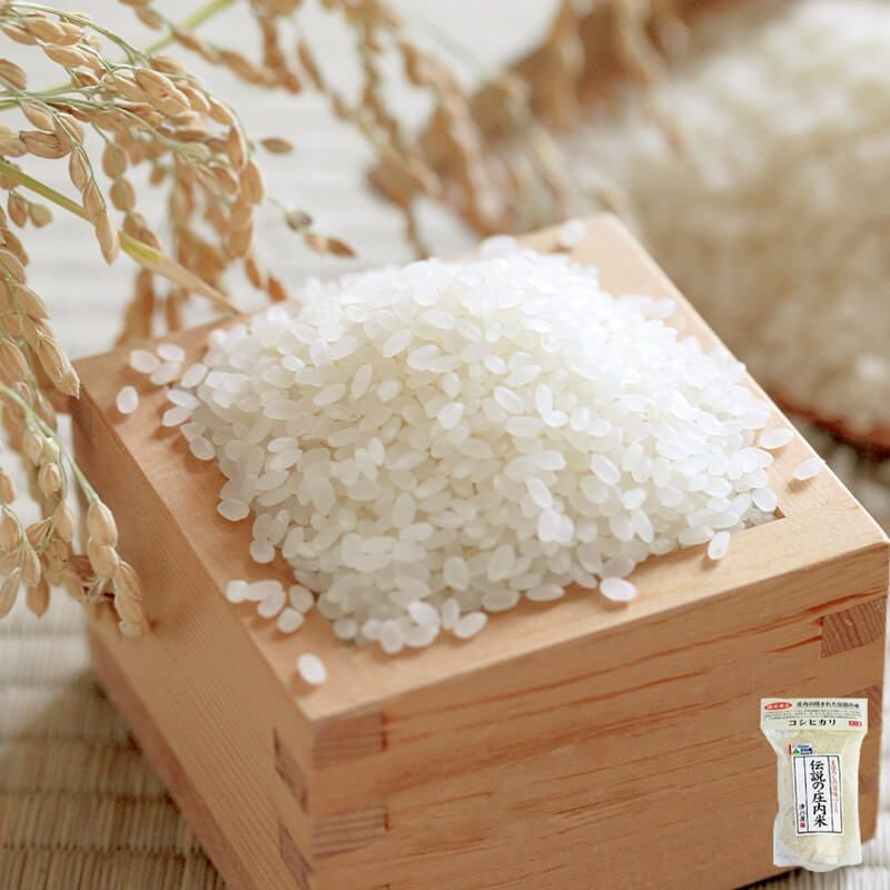 伝説の庄内米 コシヒカリ 1kg 25年(令和7年度産)庄内米 山形県のお米