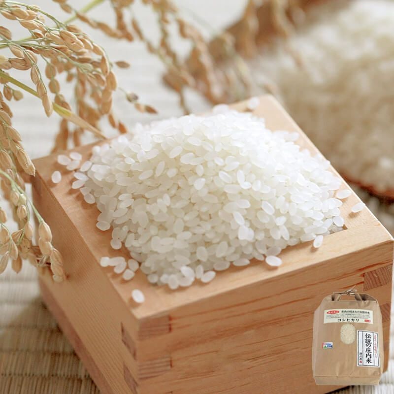 000000000469-03.jpg?size=m&w=