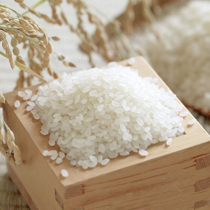 000000000469-06.jpg?size=l&w=