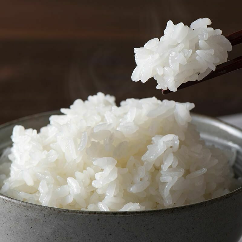 伝説の庄内米 コシヒカリ 5kg 25年(令和7年度産)庄内米 山形県のお米