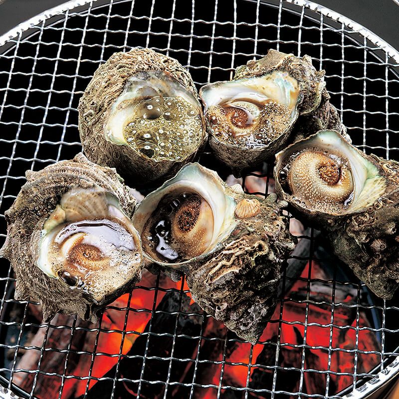 飛島大粒サザエ （さざえ）｜清川屋