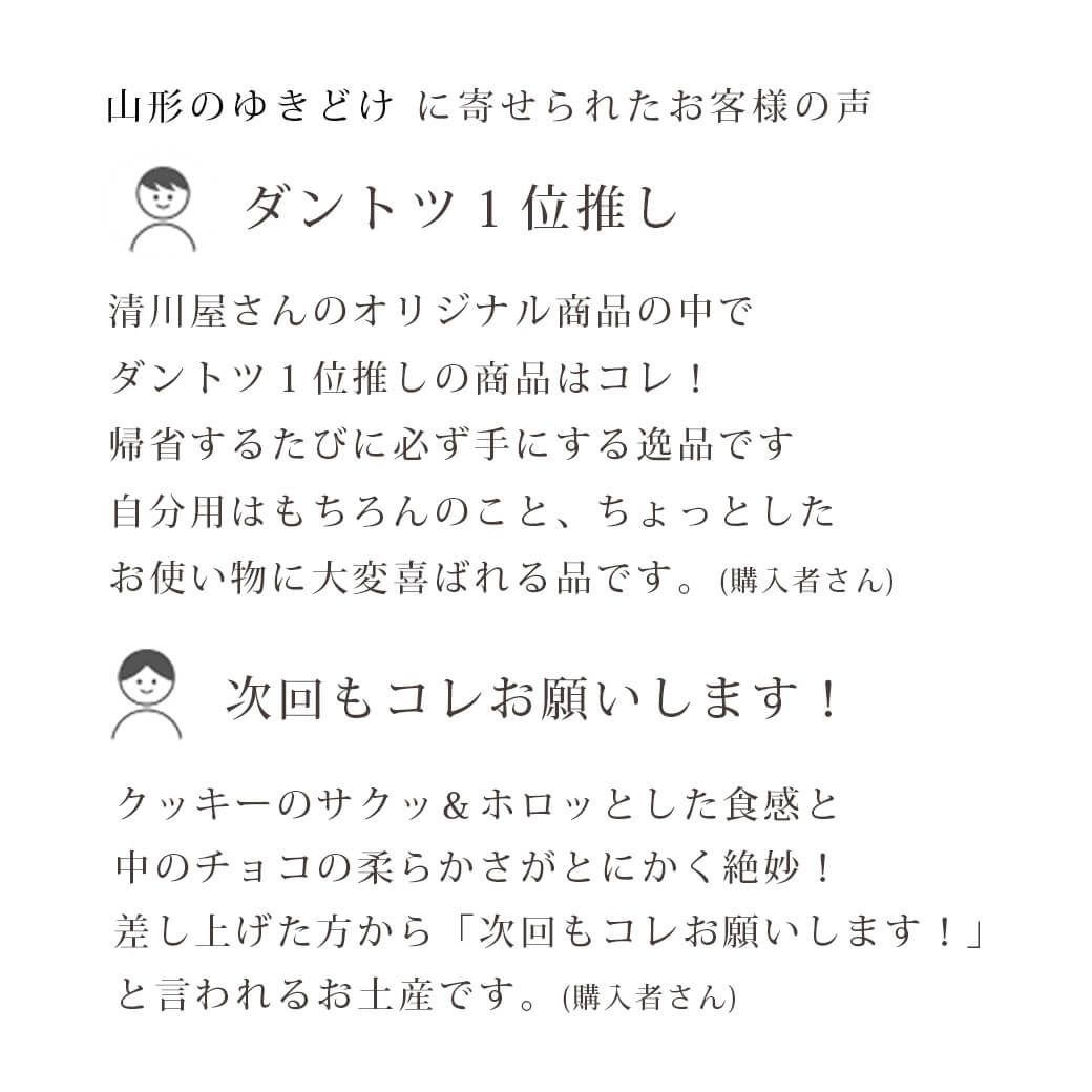 山形のゆきどけ　9個入_イメージ