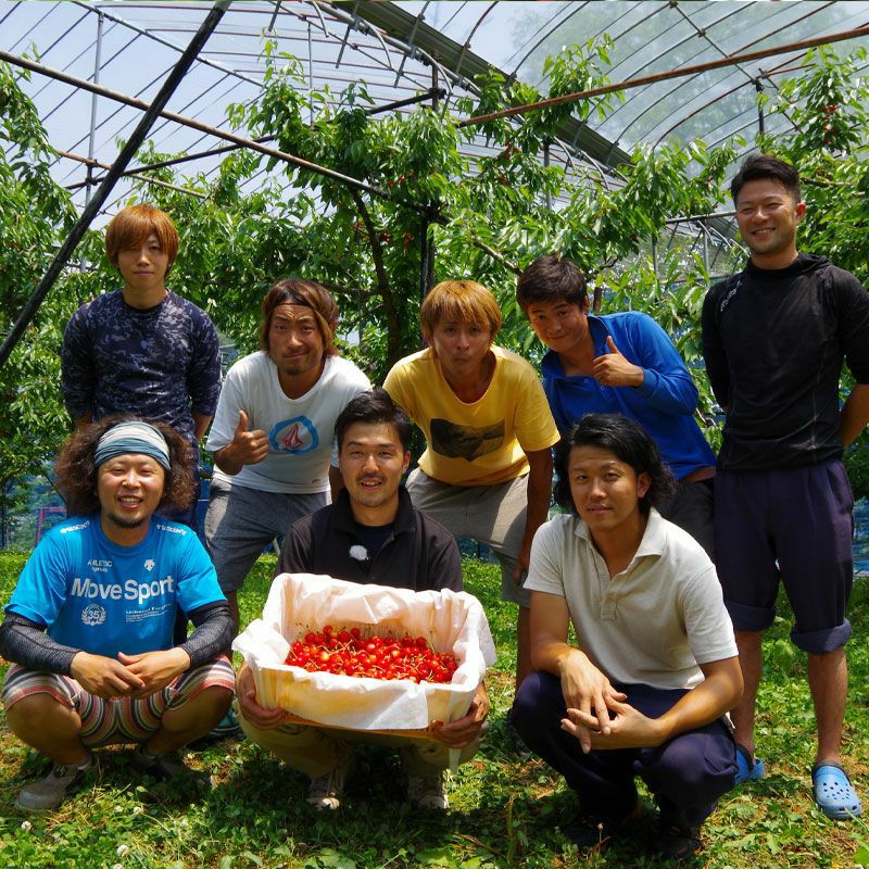 農林水産大臣賞 佐藤錦 職人詰め・木箱 Lサイズ1.2kg 山形さくらんぼ