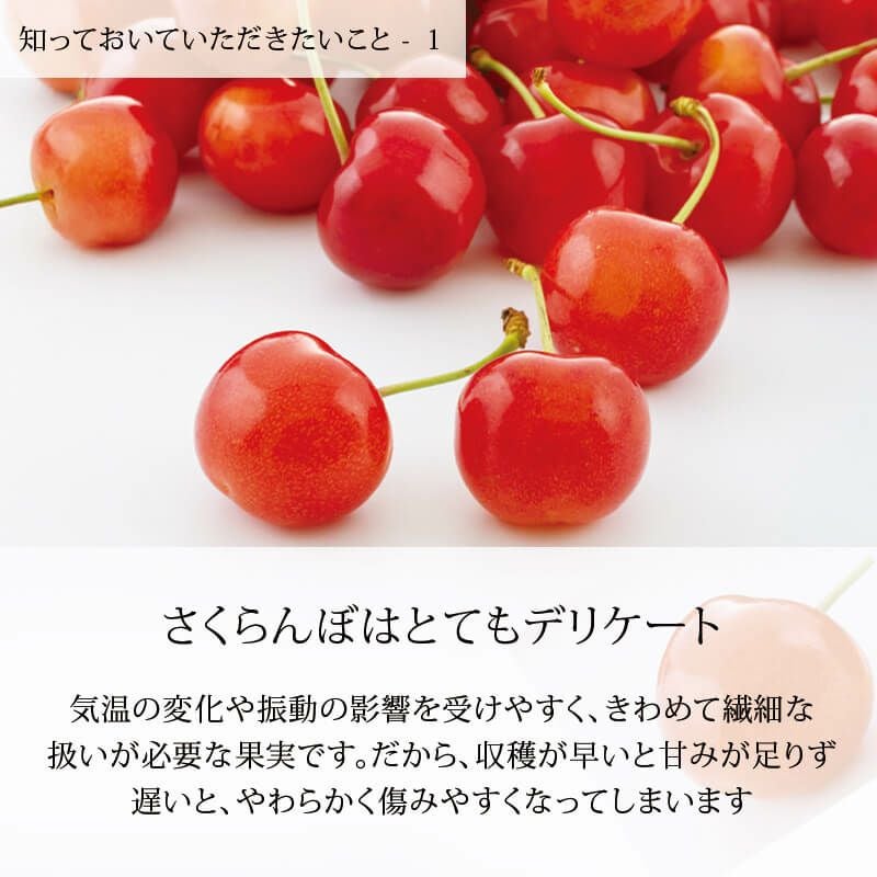 農林水産大臣賞 佐藤錦 職人詰め・木箱 Lサイズ1.2kg 山形さくらんぼ