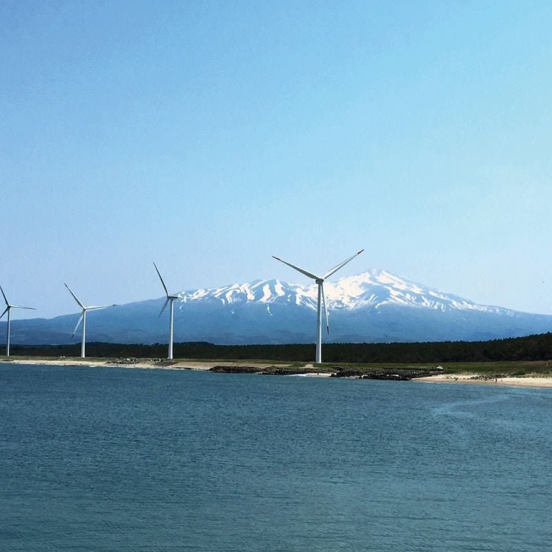 大玉キスミー_庄内砂丘