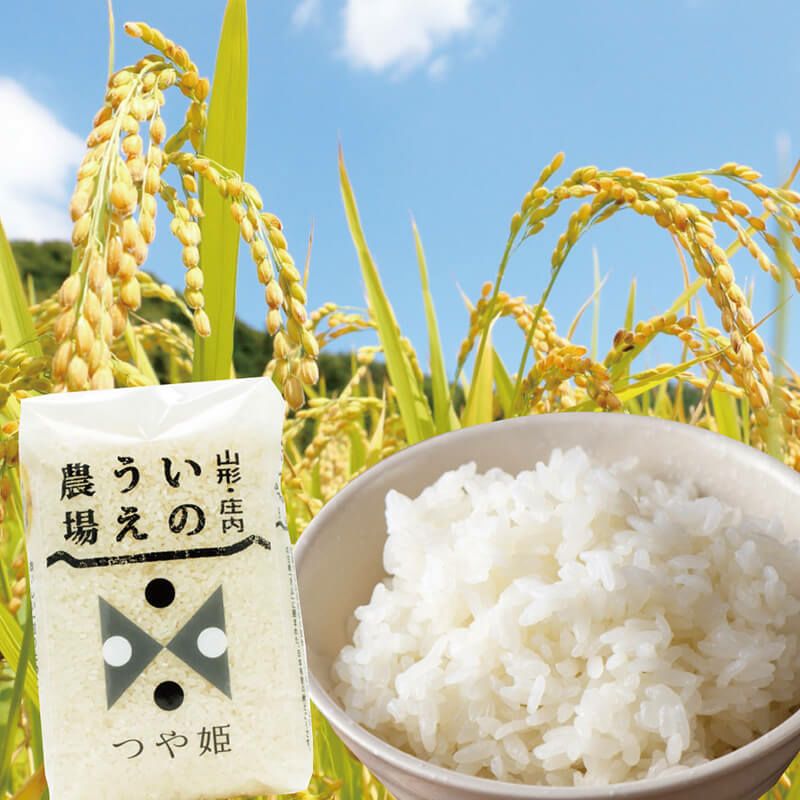 井上農場 つや姫 5合 750g 25年（令和7年度産）庄内米 山形県のお米