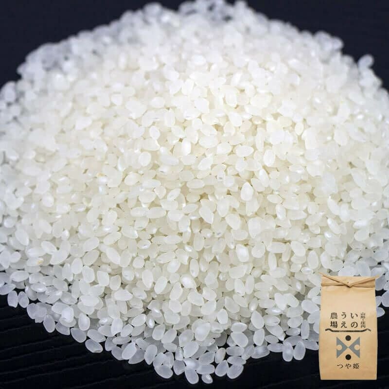 伝説の庄内米 つや姫 5kg 25年(令和7年度産)庄内米 山形県のお米｜清川屋