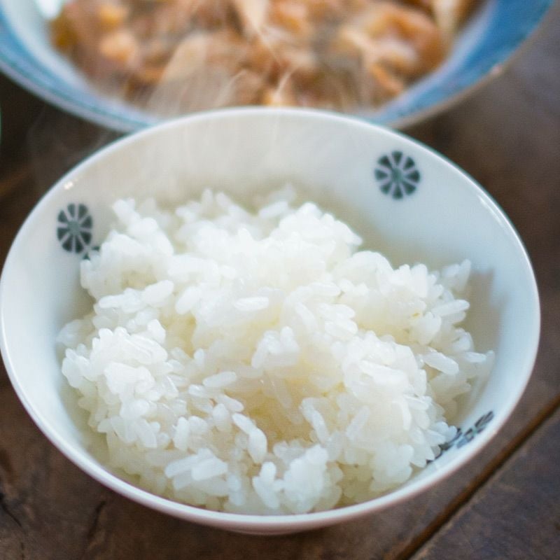 伝説の庄内米 雪若丸 10kg （5kg×2） 25年(令和7年度産)庄内米 山形県