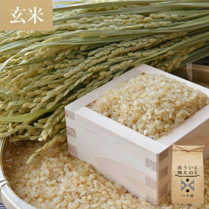 井上農場 つや姫 /玄米 5kg 25年(令和7年度産)庄内米 山形県のお米｜清川屋