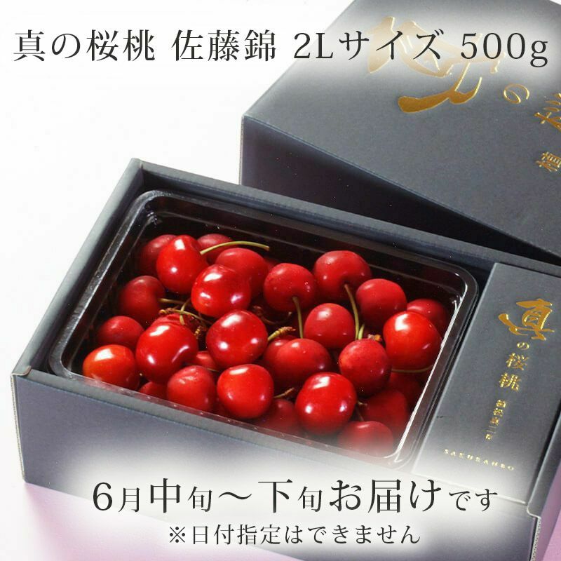 真の桜桃【佐藤錦】 2Lサイズ 500g 山形さくらんぼ食べきりサイズ贈答