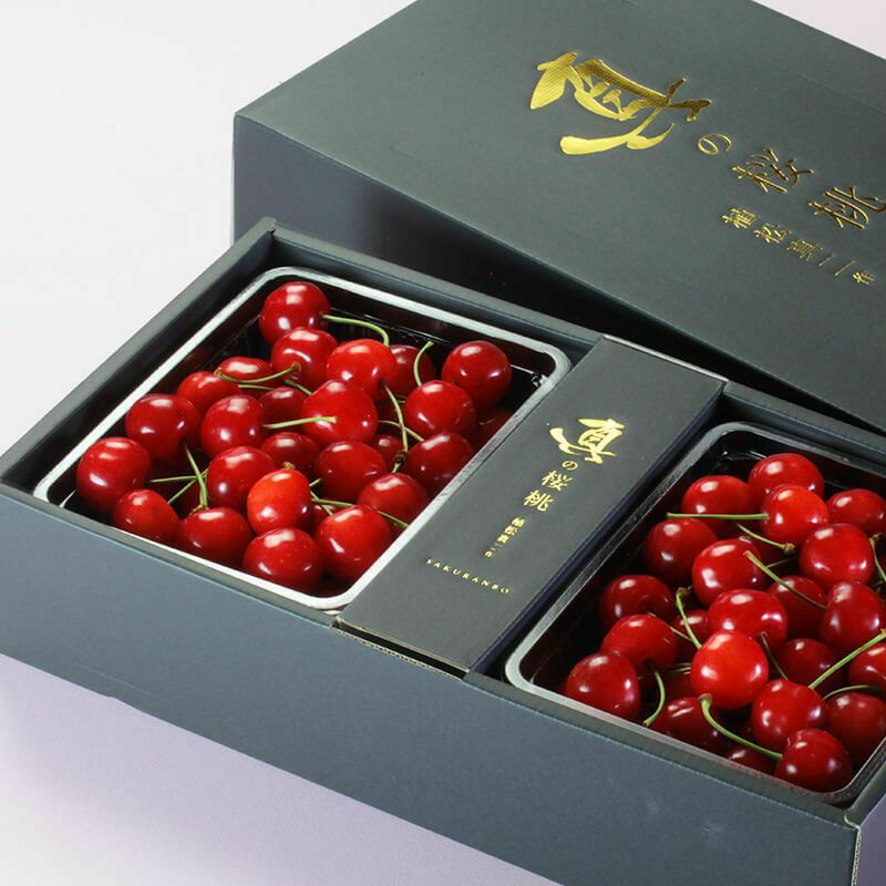 真の桜桃【佐藤錦】 2Lサイズ 1kg 山形さくらんぼたっぷり贈答用｜清川屋