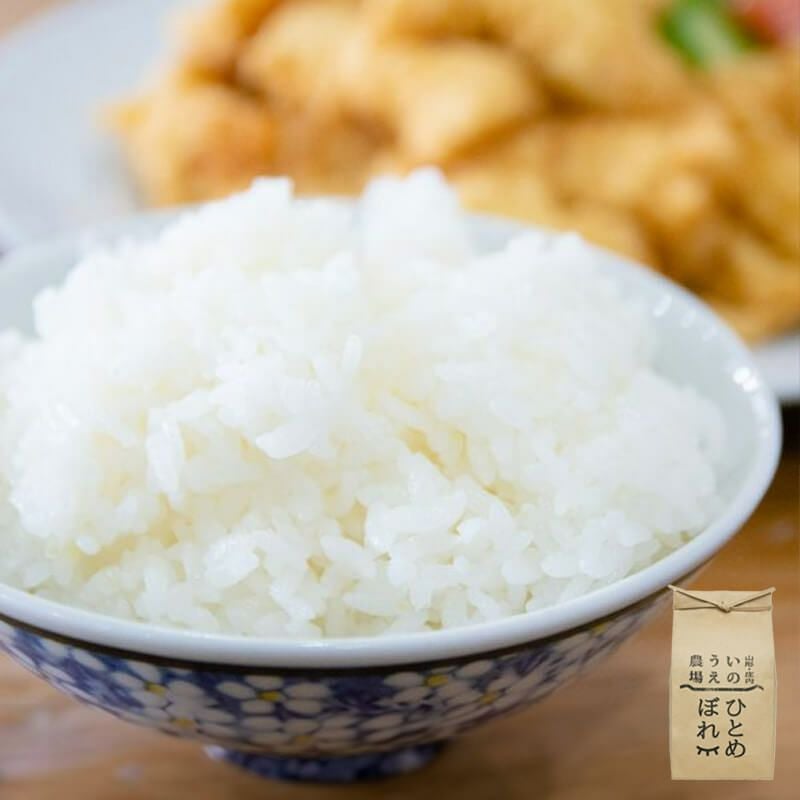 伝説の庄内米 コシヒカリ 5kg 25年(令和7年度産)庄内米 山形県のお米