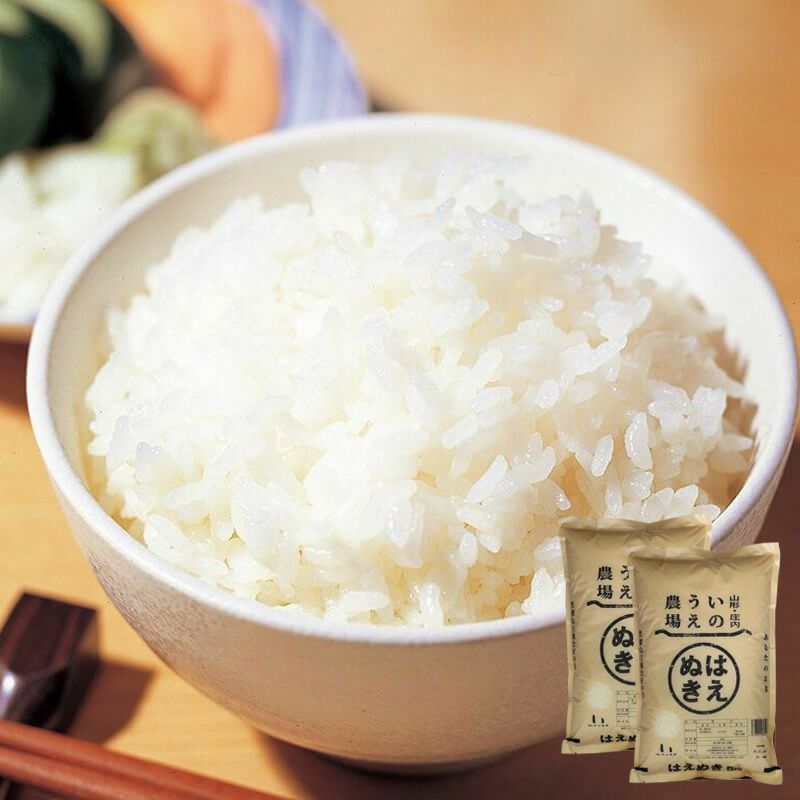 伝説の庄内米 雪若丸 10kg （5kg×2） 25年(令和7年度産)庄内米 山形県