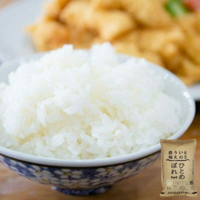井上農場 ひとめぼれ 5kg 25年(令和7年度産)庄内米 山形県のお米｜清川屋
