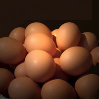 大寒卵の名水赤がら生卵 イメージ