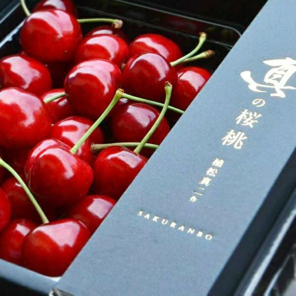 真の桜桃【紅秀峰】※佐藤錦画像