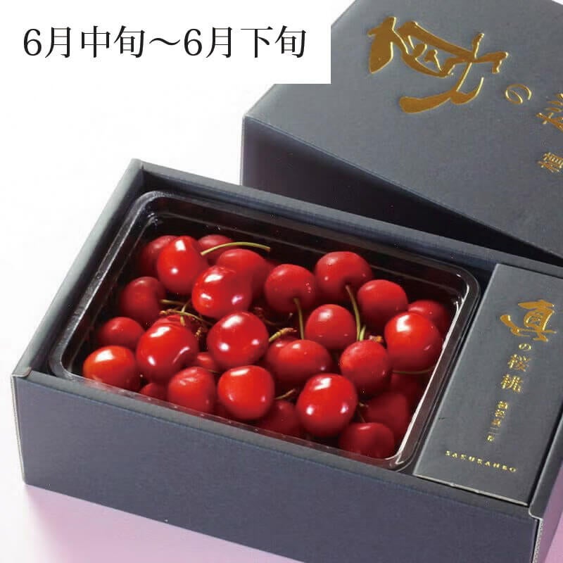 真の桜桃【紅秀峰】 2L 500g 山形さくらんぼ大粒食べきりサイズ贈答用