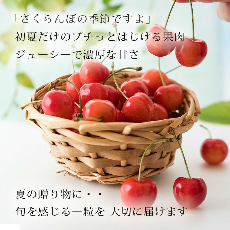 真の桜桃【紅秀峰】 2L 500g 山形さくらんぼ大粒食べきりサイズ贈答用