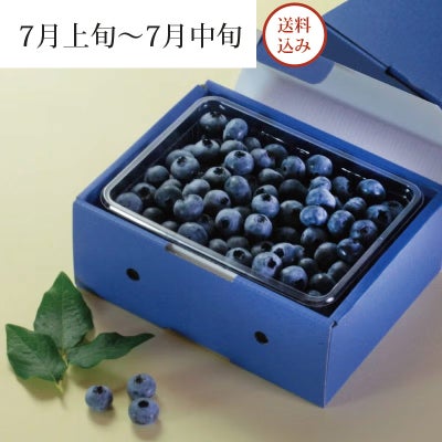 月山高原鈴木農園の 大粒ブルーベリー (生) パッケージ画像