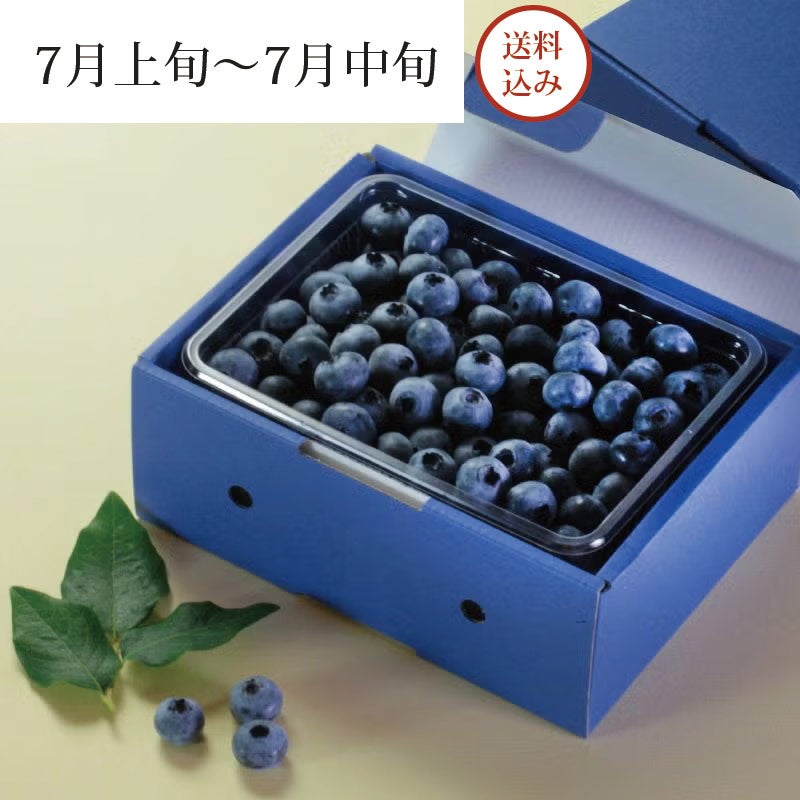 月山高原鈴木農園の 大粒ブルーベリー (生) パッケージ画像