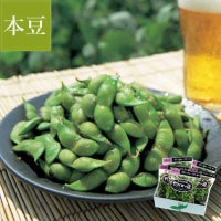 白山村産 だだちゃ豆 ＜本豆＞_イメージ