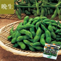 尾浦 だだちゃ豆　イメージ