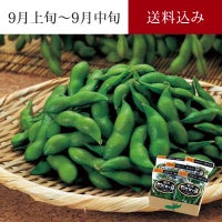 尾浦 だだちゃ豆　イメージ