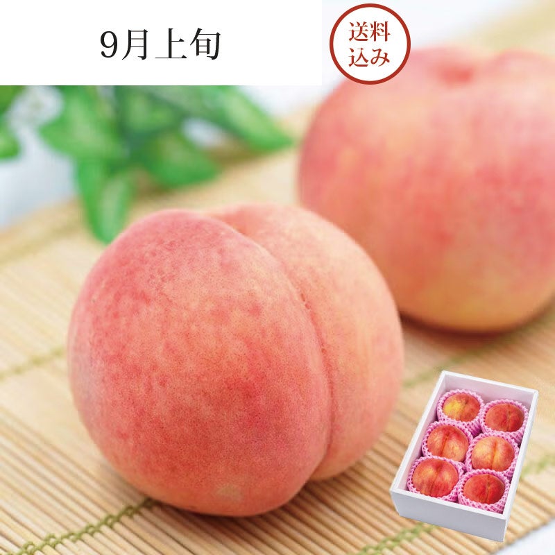 陽だまり育ち さくら白桃 6～8玉 約2kg 9月上旬お届け