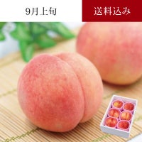 陽だまり育ち さくら白桃 6～8玉 約2kg 9月上旬お届け