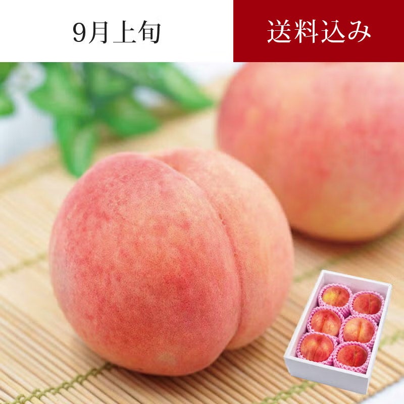 陽だまり育ち さくら白桃 6～8玉 約2kg 9月上旬お届け
