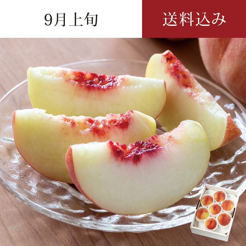 陽だまり育ち さくら白桃 6～8玉 約2kg 9月上旬お届け