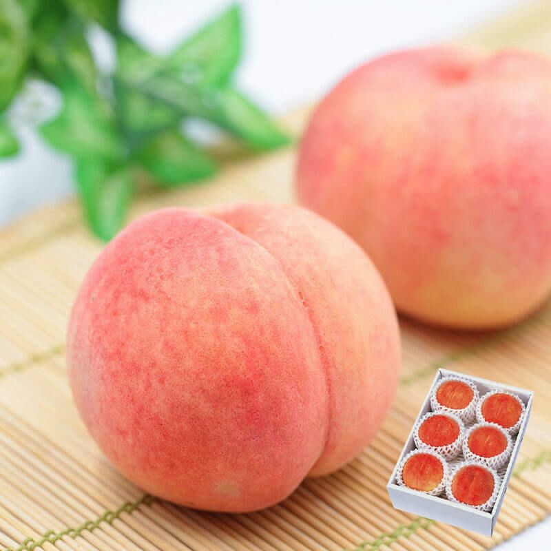 さくら白桃 福島県産もも鮮烈な甘さ硬めの桃｜清川屋