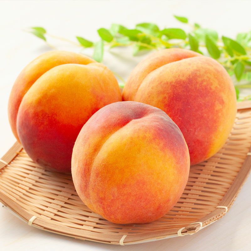 ワッサー 桃 硬めのもも黄桃｜清川屋