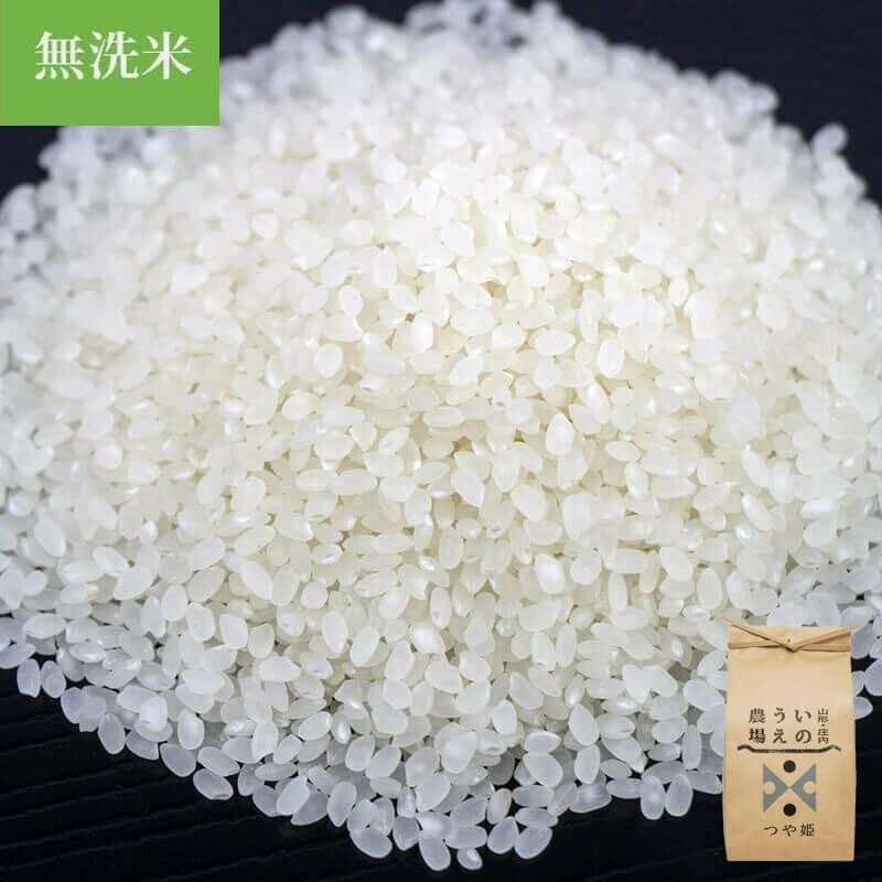 伝説の庄内米 雪若丸 10kg （5kg×2） 25年(令和7年度産)庄内米 山形県