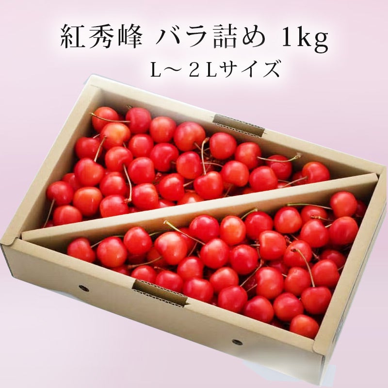 紅秀峰 L1lg 2026予約｜1.7万箱超の実績：山形さくらんぼ清川屋