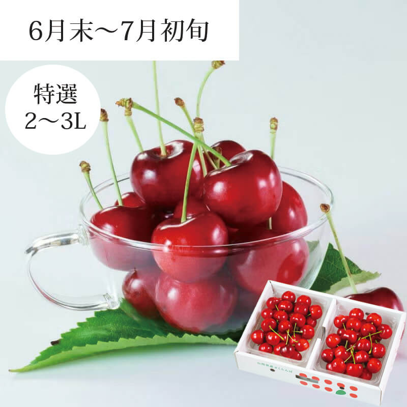 紅てまり 特選 バラ詰め 2～3L 700g 県内生産量1％未満！超希少な山形