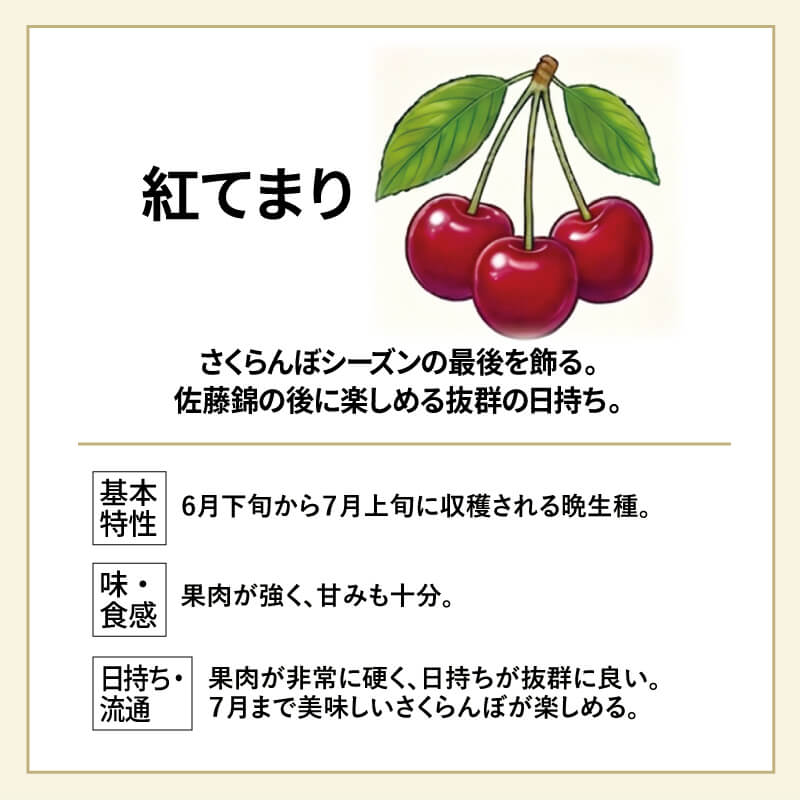紅てまり 特選 バラ詰め 2～3L 700g 県内生産量1％未満！超希少な山形