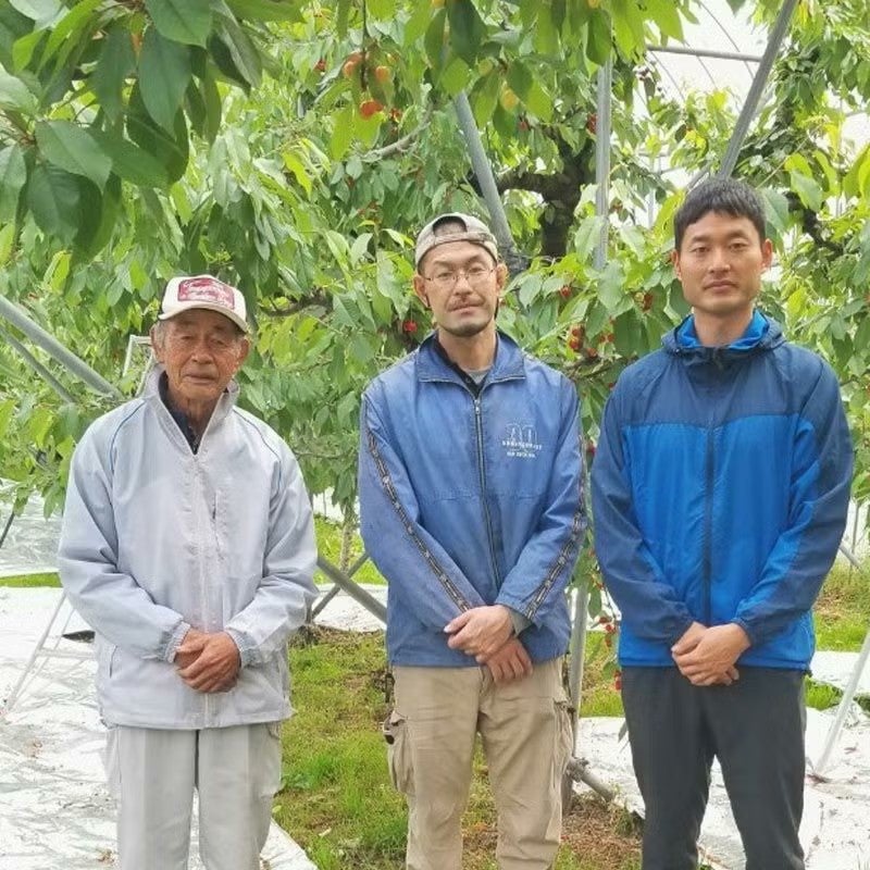 紅てまり 特選 バラ詰め 2～3L 700g 県内生産量1％未満！超希少な山形