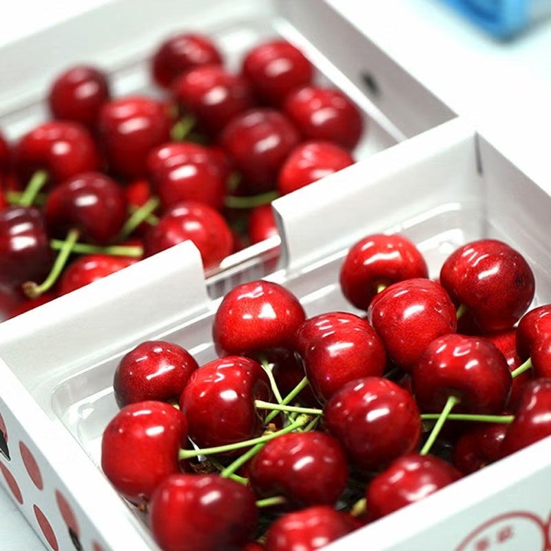 紅てまり 特選 バラ詰め 2～3L 700g 県内生産量1％未満！超希少な山形