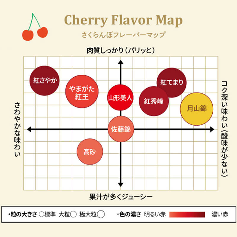 紅てまり 特選 職人詰め 2～3L 500g 県内生産量1％未満！超希少な山形