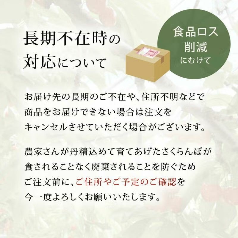 紅てまり 特選 職人詰め 2～3L 500g 県内生産量1％未満！超希少な山形