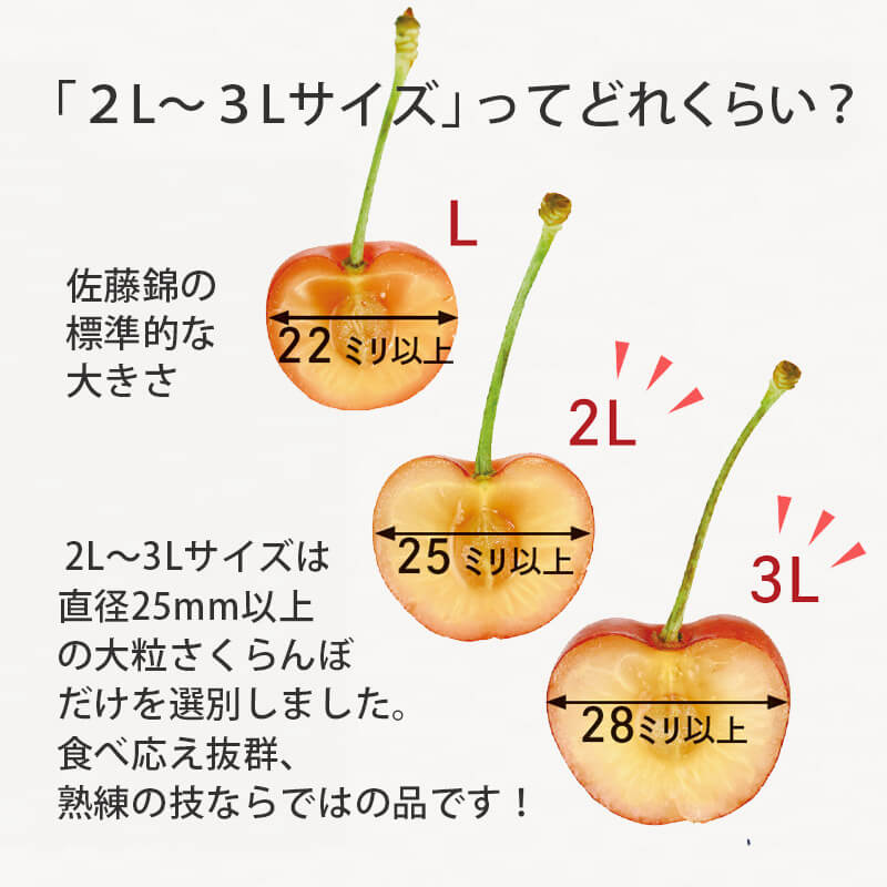 紅てまり_紅てまりの生産者・軽部さん