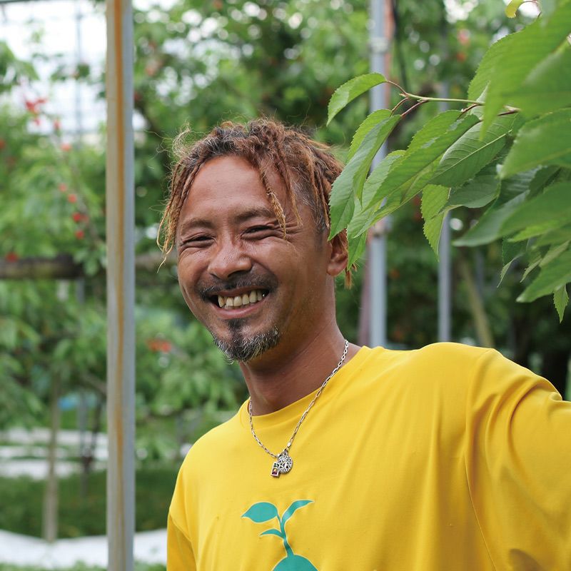 真の果実【桃】 白桃・黄桃詰合せセット 山形県産もも 植松真二｜清川屋