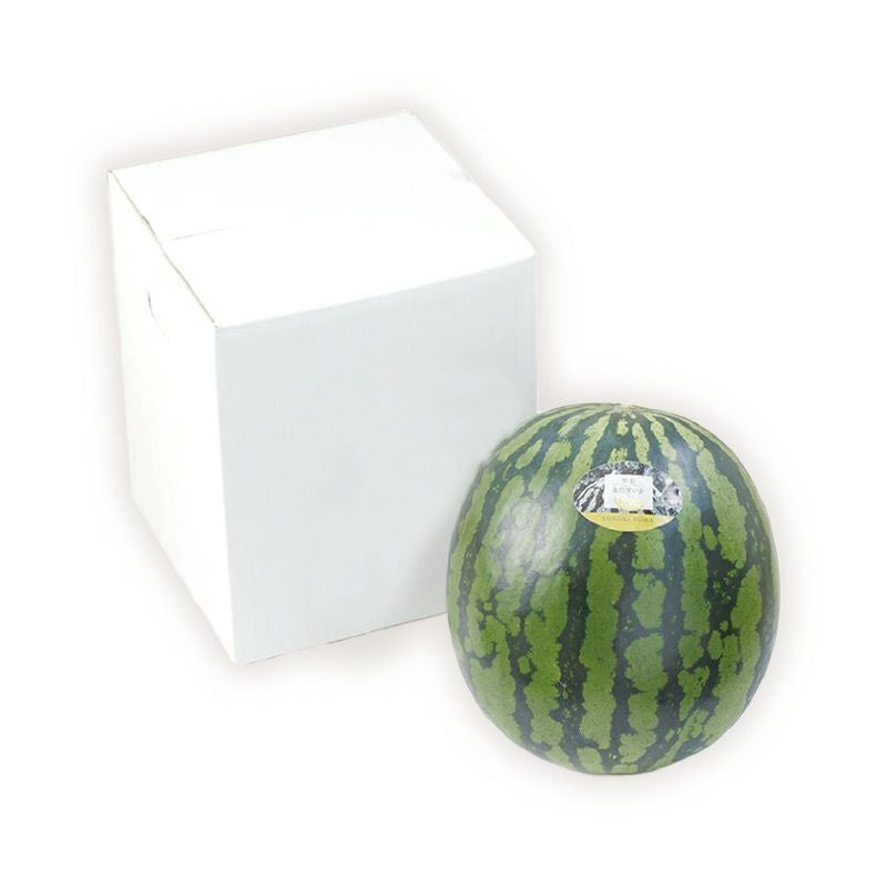 金色羅皇スイカ_パッケージ