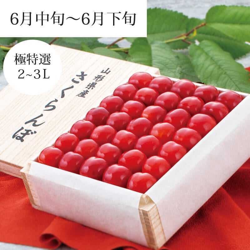 紅秀峰 極特選 匠詰め・桐箱 2～3L 500g 特別なご贈答に・山形