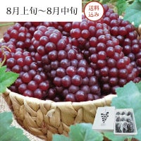 髙橋さんの完熟デラウェア